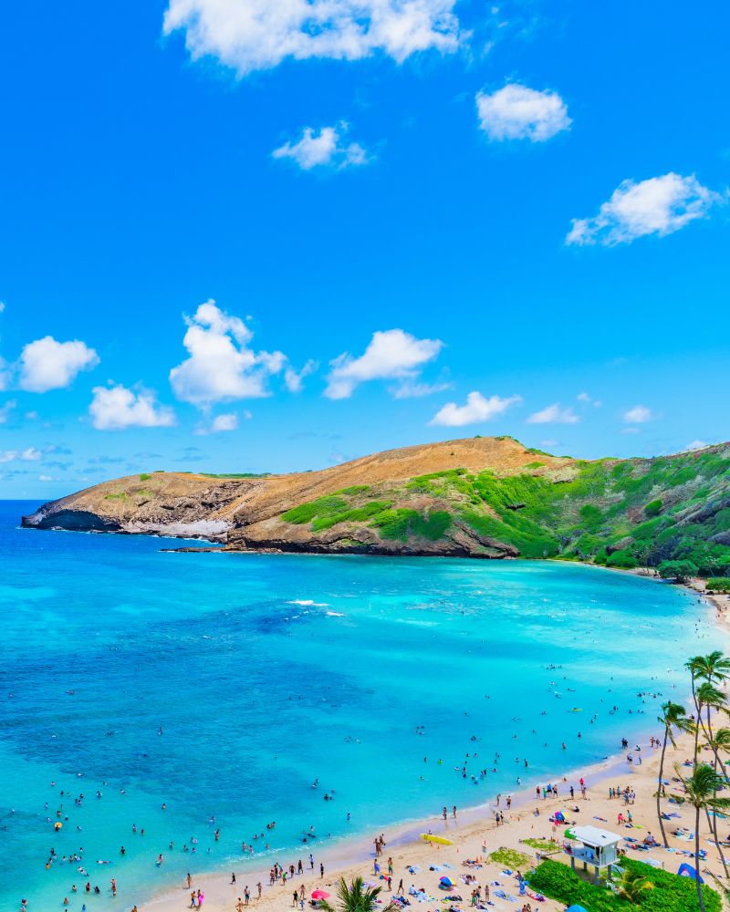 하와이 힐링스테이 